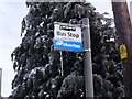 Icicle on a bus stop, Dromore