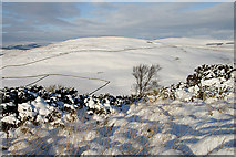 NT4936 : Winter on Blaikie's Hill by Walter Baxter