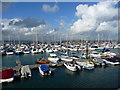 Brixham - Marina