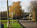 Road by the village green, Ascott Under Wychwood