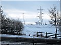 Pylons and power lines near Low Haining (view SW)