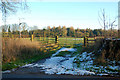 Gate into field, Hellidon Road, Staverton