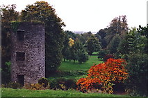 W6075 : Blarney - Northeast tower and Blarney Castle grounds River by Joseph Mischyshyn