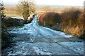 Cattle grid on track to Staverton sewage works