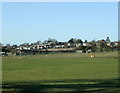 2009 : Over a pasture to Timsbury