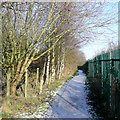 Footpath to Goldthorn Hill, Wolverhampton