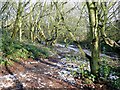 Footpath through woodland, Colton Hills, Wolverhampton