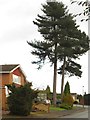 Tall Trees, Woodleigh Road, Sutton Coldfield