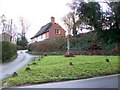 War Memorial, Tollard Royal