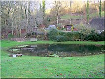 ST9417 : Village pond, Tollard Royal by Maigheach-gheal