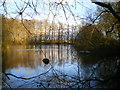 Birdswood Pool, Hatton Estate