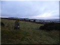 Stone gatepost beside the track around Ffrith Mountain