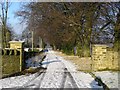 Track leading to Bankfield Farm, Cottingley