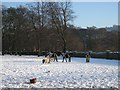 Horses in the Snow at Cottingley (2)