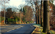 J3875 : The Cairnburn Road, Belfast (2) by Albert Bridge