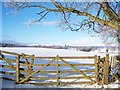 Field Entrance Near Mains Of Burnbank