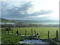 Winter sun on the fields east of Bryncrug