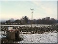 Snow at Tullynamullan Townland