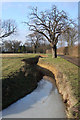 Ditch and track leading to The Hopleys