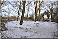 Wood beside the River Slea - Sleaford