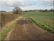 TL6253 : Icknield Way Path by Hugh Venables