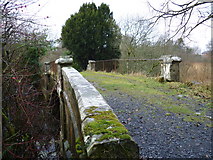 H6016 : Dartrey's Iron Bridge - south side by D Gore