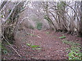 Footpath to Southdean Farm