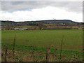 View over crops to Grittenham Farm