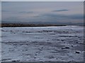 Ice on Greenan shore