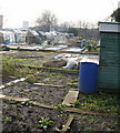 Pugsley Street allotments, Crindau, Newport