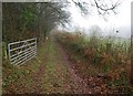 Track above Pitpear Farm