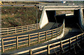 Old underpass, Loughbrickland