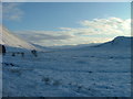 NN2256 : Snowy scene at Altnafeadh by Dave Fergusson
