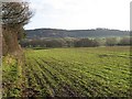 Arable land, Langley