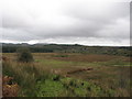 G7731 : Bogland near Killerry wood by Willie Duffin