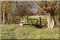 Footbridge over a brook north of Braunston (1)