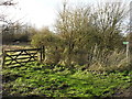 Field gateway and footpath