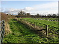 Footpath to Hardwick