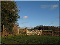 Gate brightened by the afternoon sun