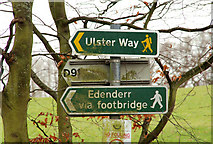 J3269 : Towpath sign, Belfast by Albert Bridge