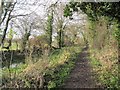 Towpath to the track