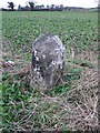 Old Milestone