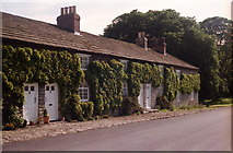 SE7967 : Cottages at Langton by Michael Jagger