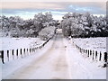 Snow Covered Minor Road Near East Kilbride