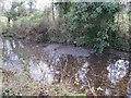 Silting up the canal