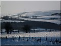 Fields to west of Tow Law