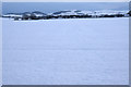 Fields at Rosemount, Blairgowrie