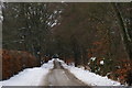 Road at Rosemount, Blairgowrie