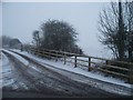 Driveway to Lavender Hill Stud