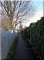 Stourport War Memorial Park -  footpath to The Ridgeway